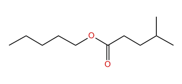 Pentyl 4-methylpentanoate